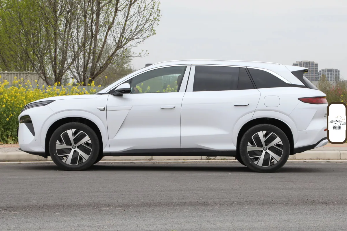 比亚迪 BYD 唐L DM (7座) 16