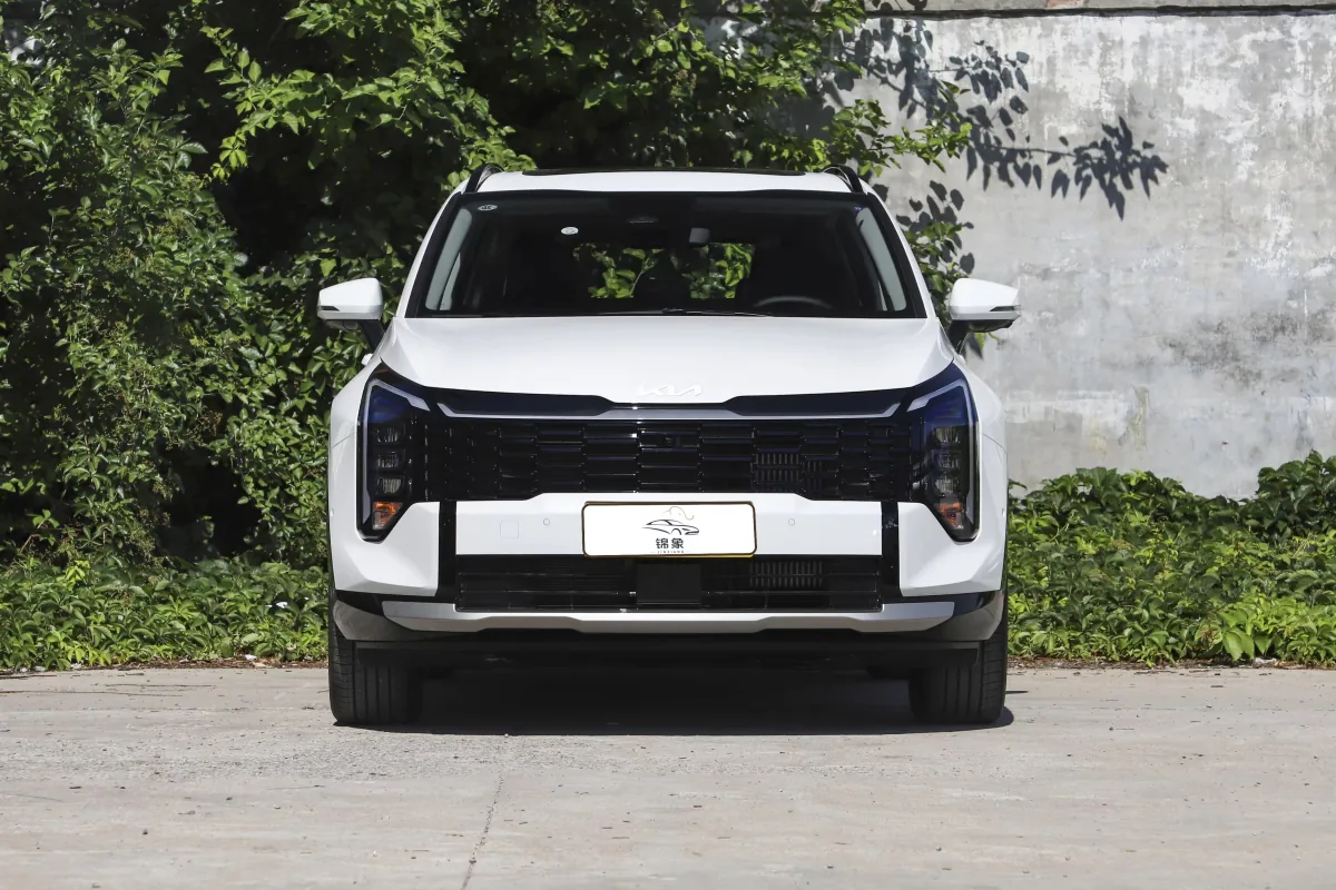 起亚 Kia 狮铂拓界 8